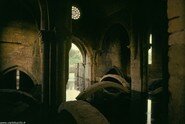 05.jpg
